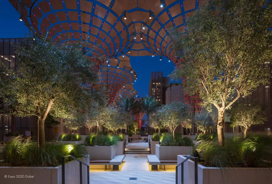Expo Dubai 2020: The desert goes green.
